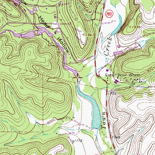 Topographic Map of Cow Head Hollow, TX