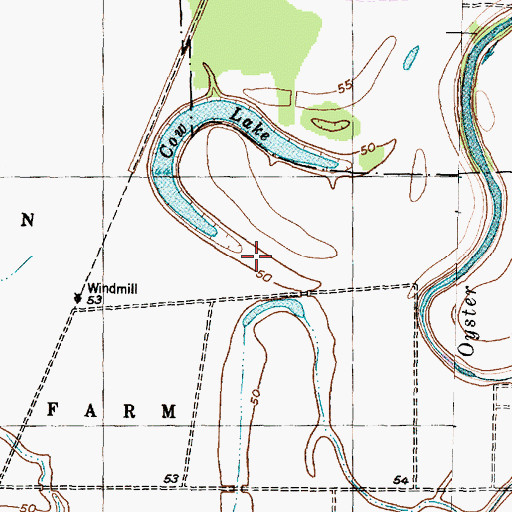 Topographic Map of Cow Lake, TX