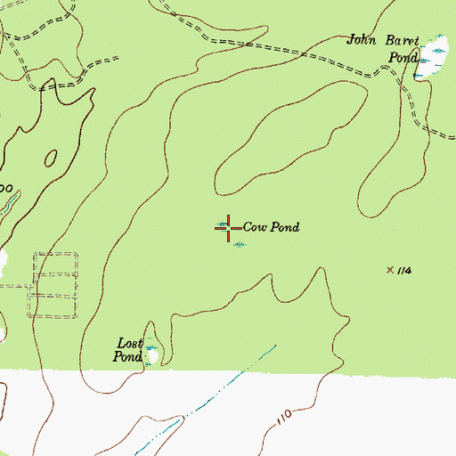 Topographic Map of Cow Pond, TX