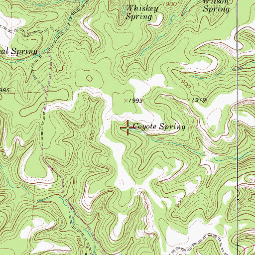 Topographic Map of Coyote Spring, TX