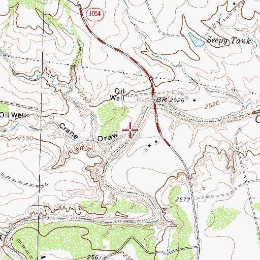 Topographic Map of Crane Draw, TX