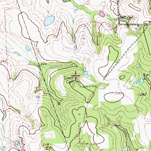 Topographic Map of Cress Cemetery, TX