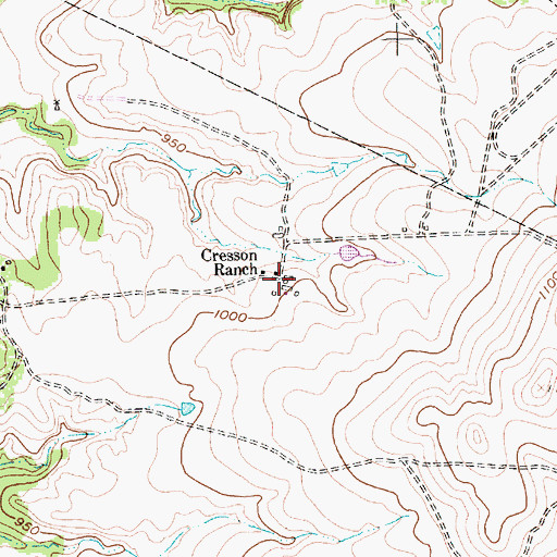 Topographic Map of Cresson Ranch, TX