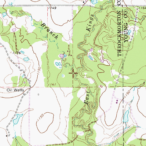 Topographic Map of Crooked Branch, TX