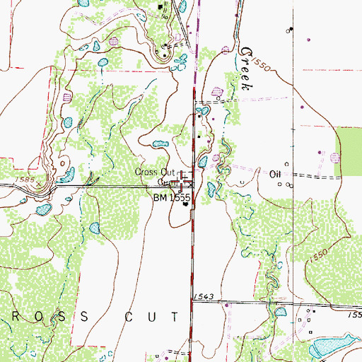 Topographic Map of Cross Cut Cemetery, TX