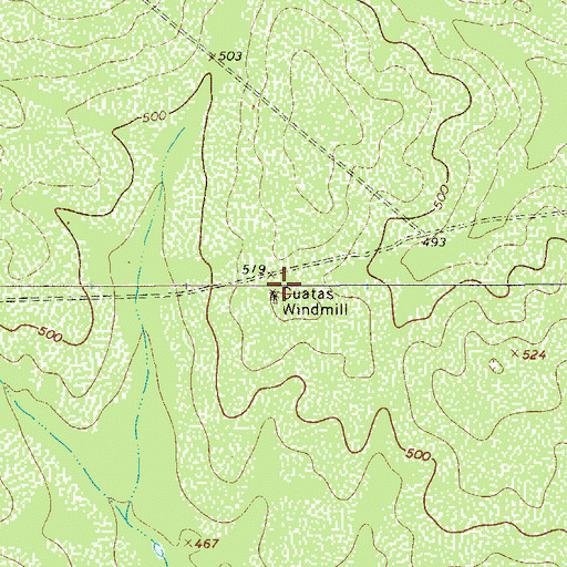 Topographic Map of Cuatas Windmill, TX