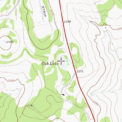 Topographic Map of Cub Lake, TX