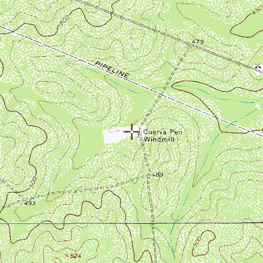 Topographic Map of Cuerva Pen Windmill, TX