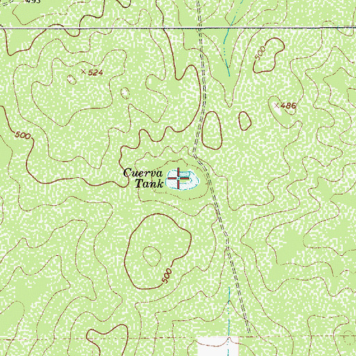 Topographic Map of Cuerva Tank, TX