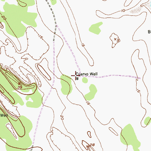 Topographic Map of Cuervo Well, TX
