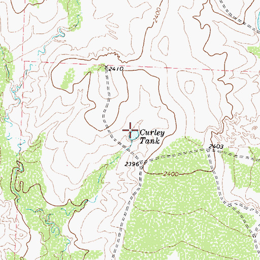 Topographic Map of Curley Tank, TX