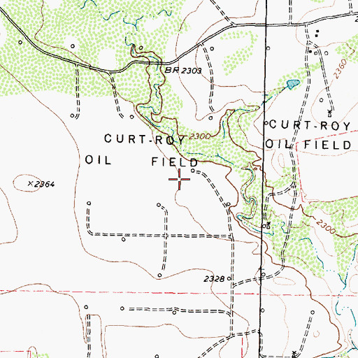Topographic Map of Curt- Roy Oil Field, TX