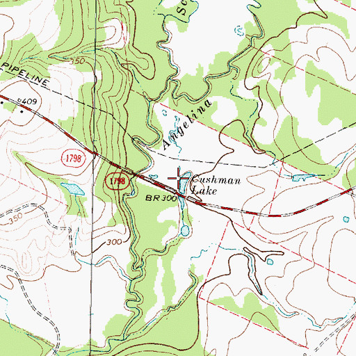Topographic Map of Cushman Lake, TX
