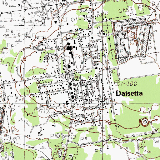 Topographic Map of Daisetta, TX