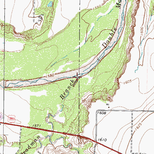 Topographic Map of Deadman Branch, TX