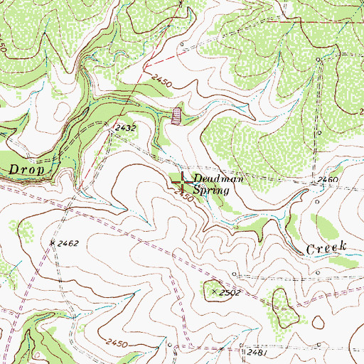 Topographic Map of Deadman Spring, TX