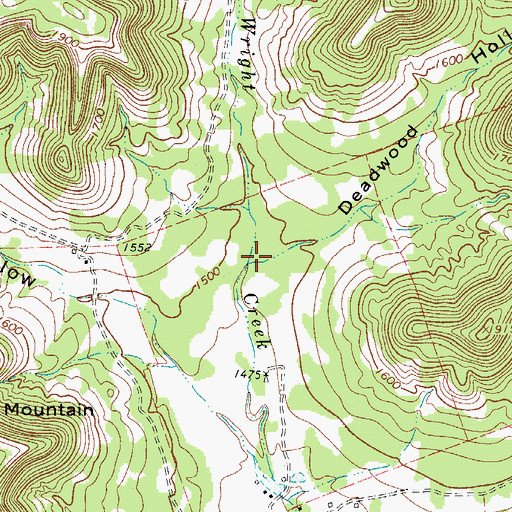 Topographic Map of Deadwood Hollow, TX
