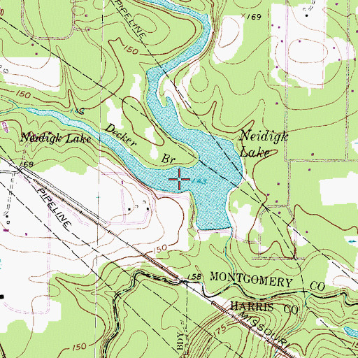 Topographic Map of Decker Branch, TX