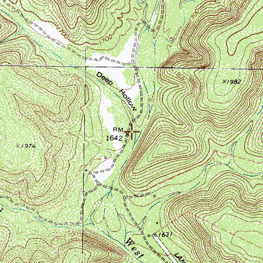 Topographic Map of Deep Hollow, TX