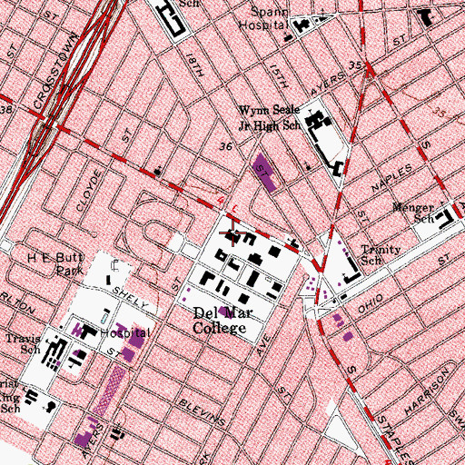 Topographic Map of Del Mar College, TX