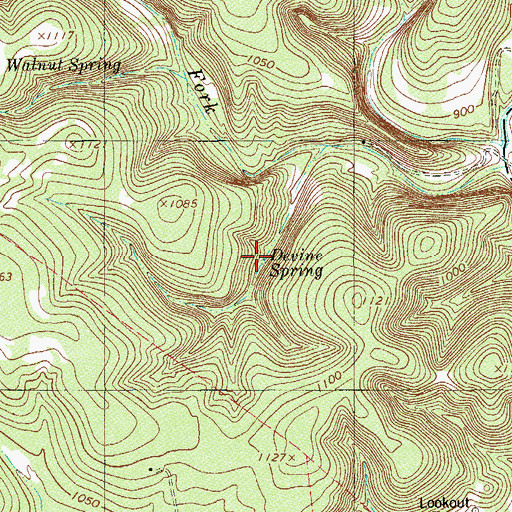 Topographic Map of Devine Spring, TX