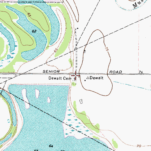 Topographic Map of Dewalt Cemetery, TX