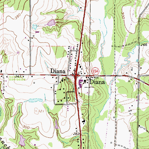 Topographic Map of Diana, TX