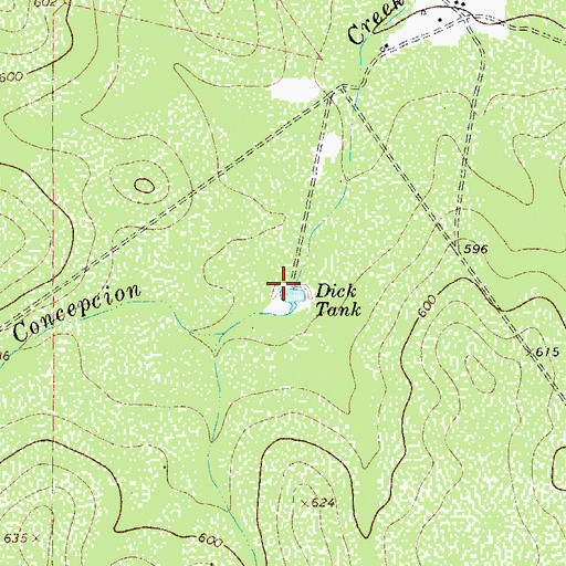 Topographic Map of Dick Tank, TX