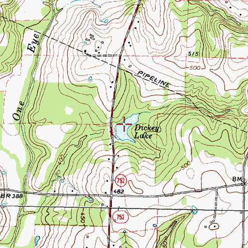 Topographic Map of Dickey Lake, TX