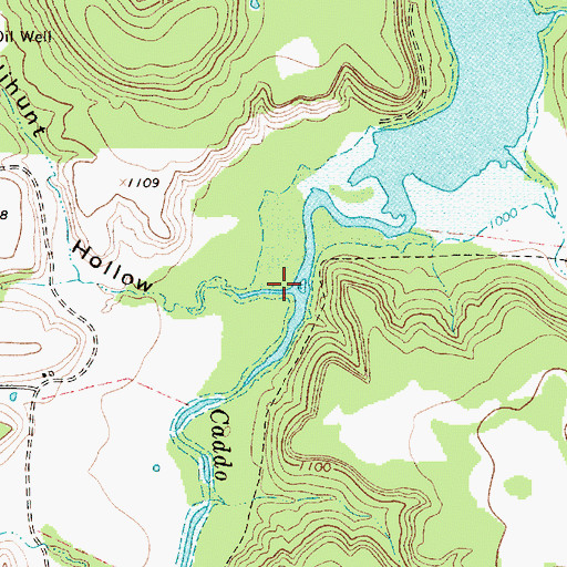 Topographic Map of Dillihunt Hollow, TX