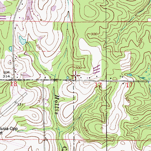 Topographic Map of Revival Center Church, AL