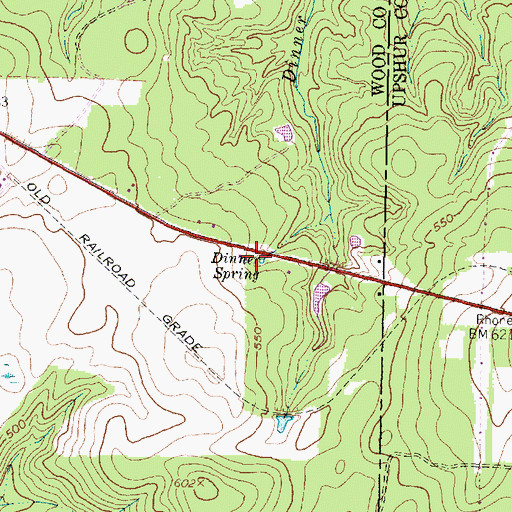 Topographic Map of Dinner Spring, TX
