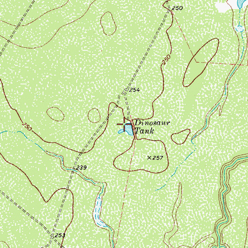 Topographic Map of Dinosaur Tank, TX