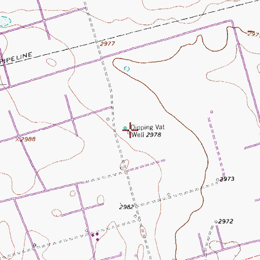 Topographic Map of Dipping Vat Well, TX