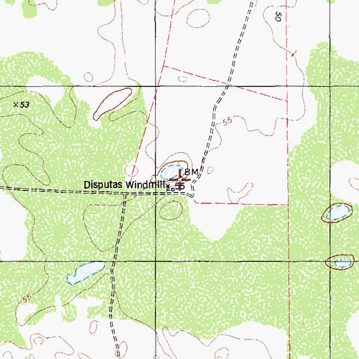 Topographic Map of Disputas Windmill, TX