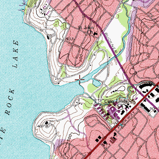 Topographic Map of Dixon Branch, TX