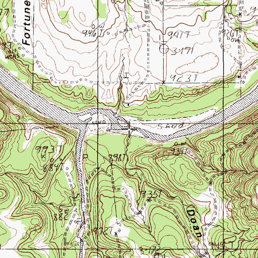 Topographic Map of Doan Hollow, TX