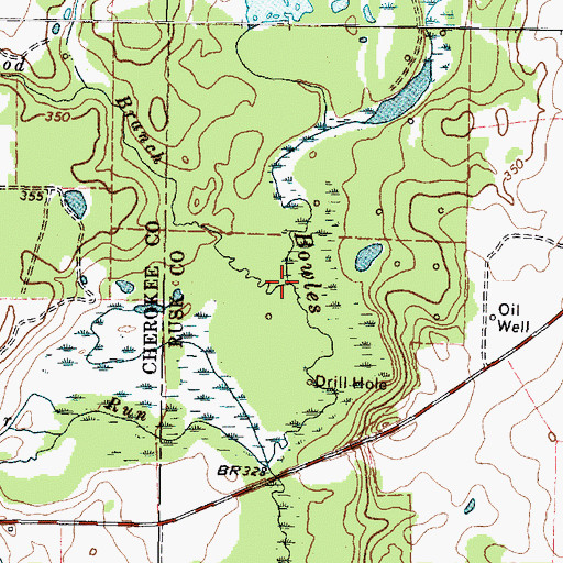 Topographic Map of Dogwood Branch, TX