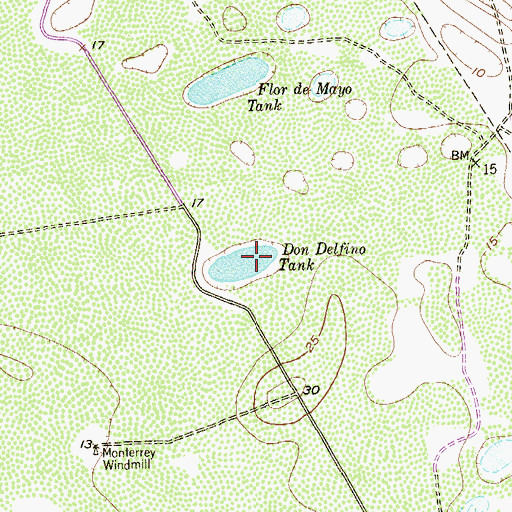 Topographic Map of Don Delfino Tank, TX