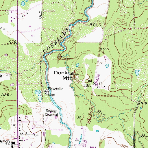 Topographic Map of Donkey Mountain, TX