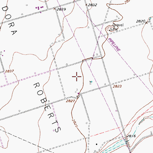 Topographic Map of Dora Roberts Oil Field, TX