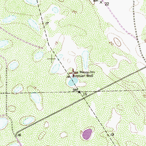Topographic Map of Dos Mesquites Artesian Well, TX