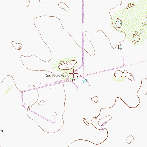 Topographic Map of Dos Pilas Windmill, TX