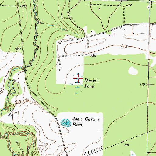 Topographic Map of Double Pond, TX