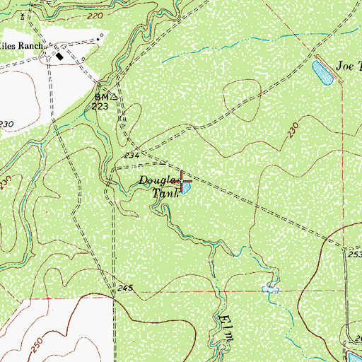 Topographic Map of Douglas Tank, TX