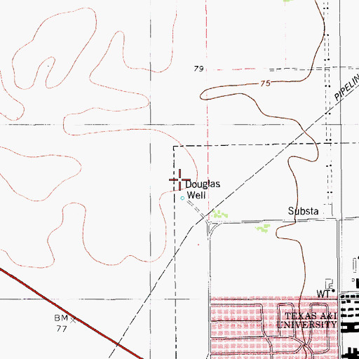 Topographic Map of Douglas Well, TX