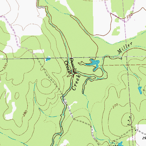 Topographic Map of Dowdy Creek, TX