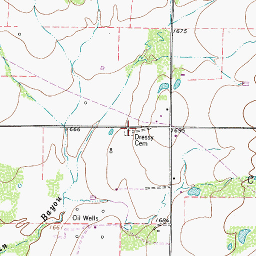 Topographic Map of Dressy Cemetery, TX