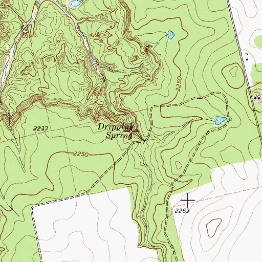 Topographic Map of Dripping Spring, TX