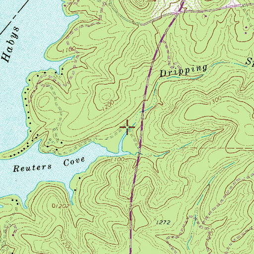 Topographic Map of Dripping Spring Creek, TX
